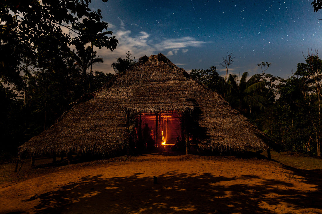 Putumayo, selva del yagé