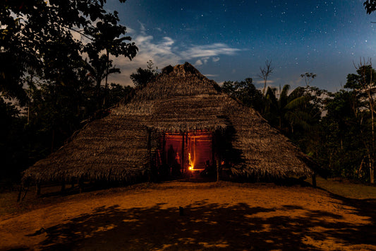 Putumayo, selva del yagé