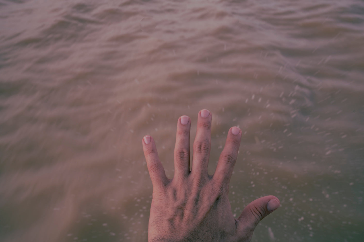 Proyectos de impacto