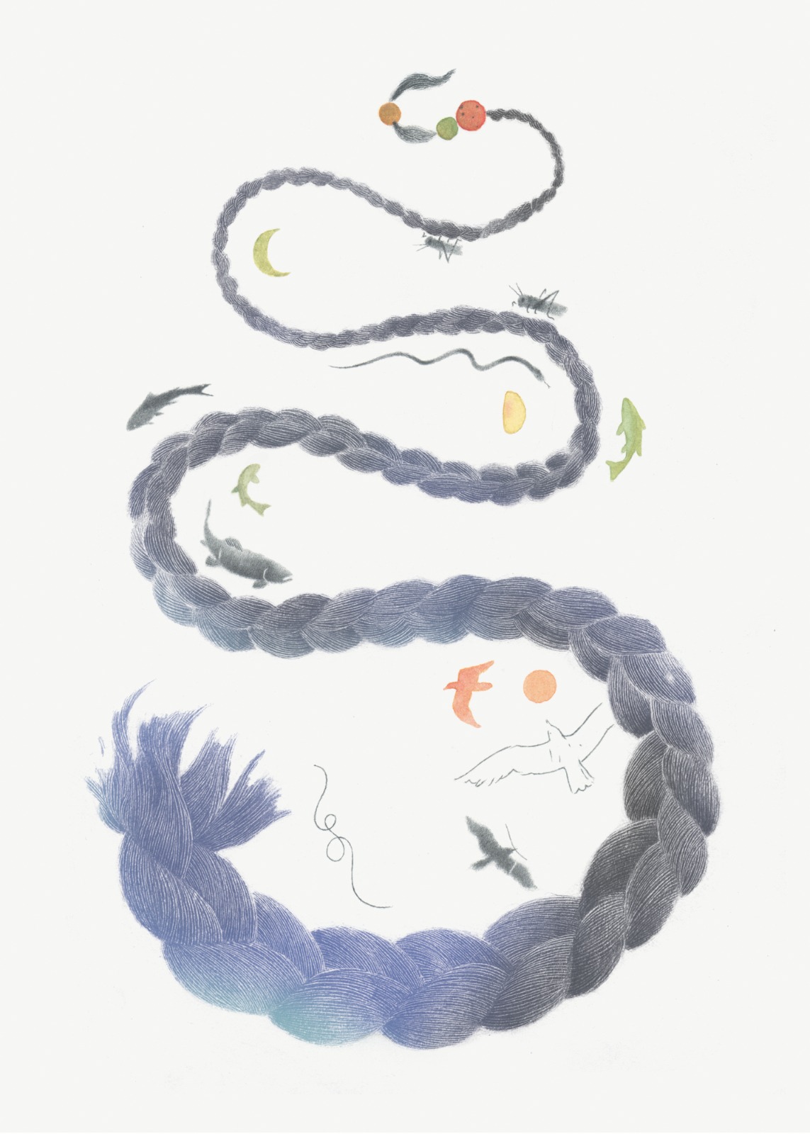 Ilustración 2