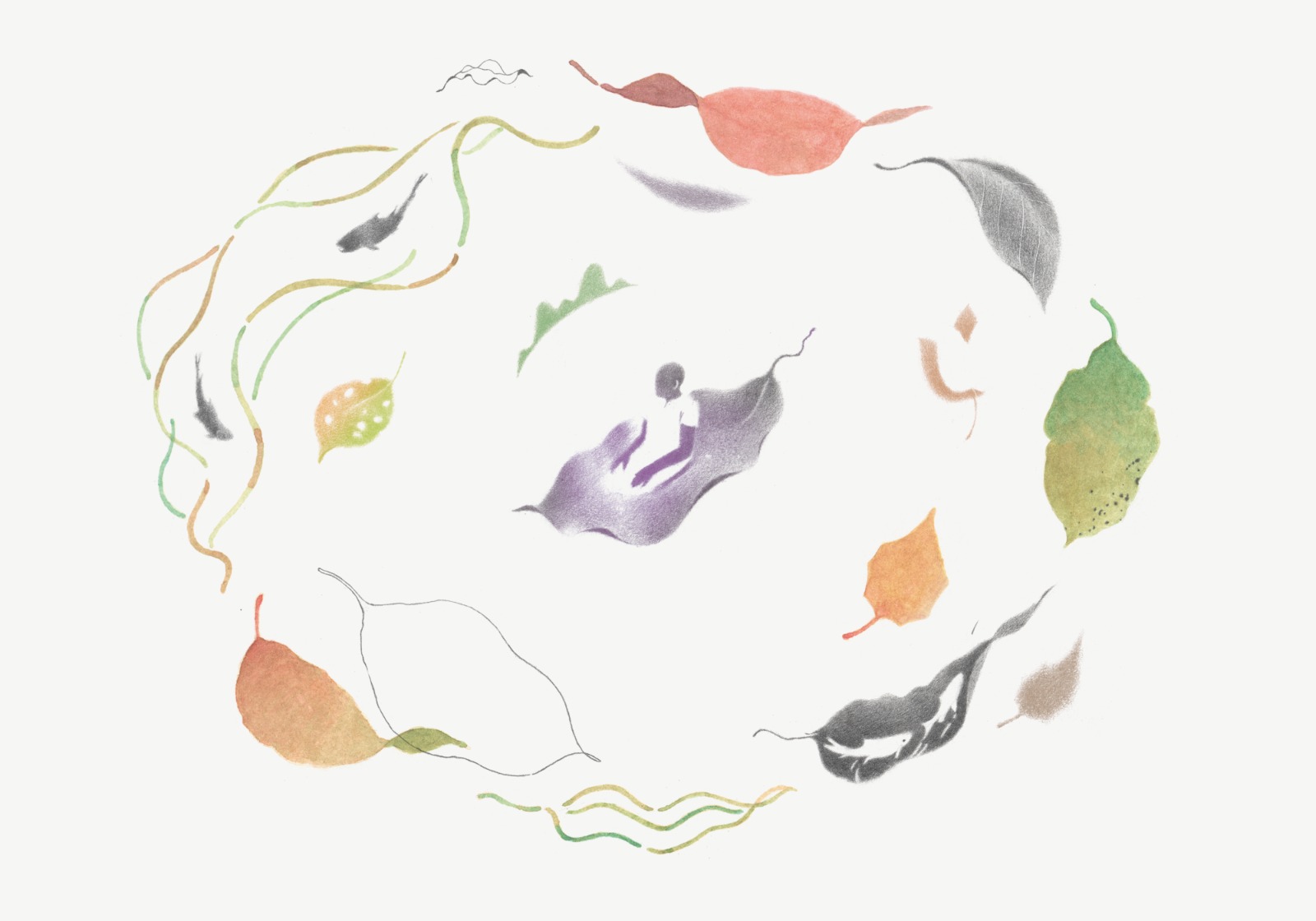 Ilustración 4