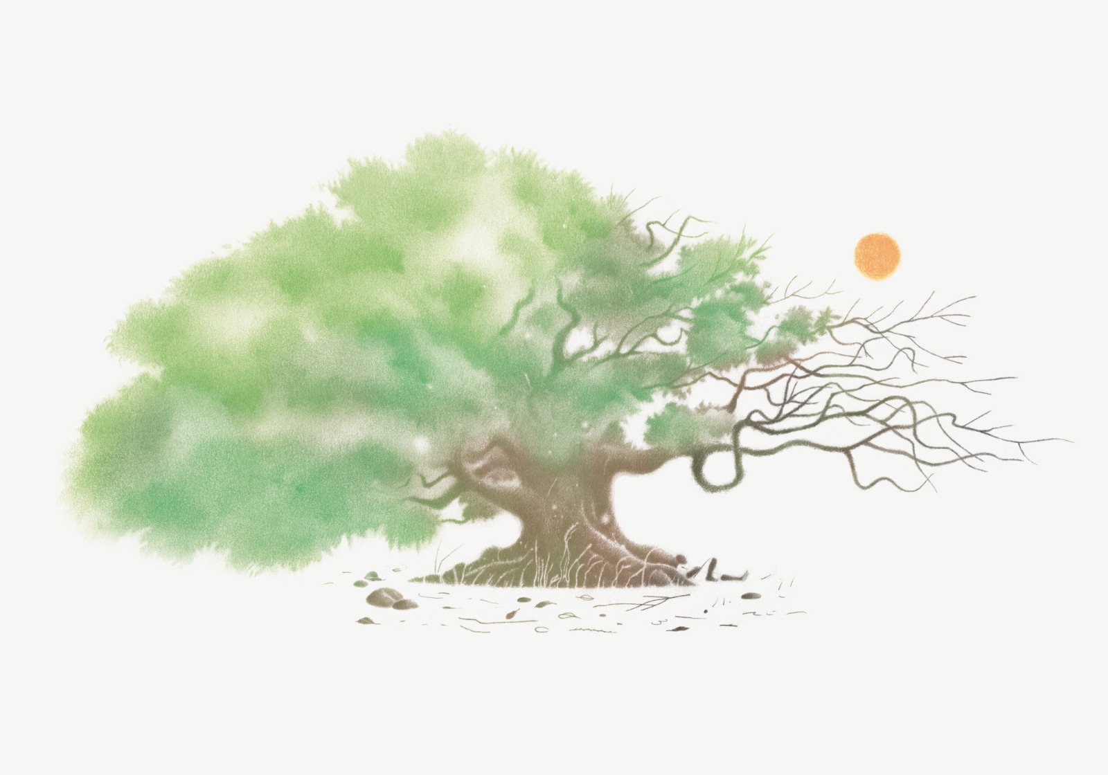 Ilustración 5